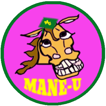 Can you answer a little bit of horse basics? - Mane U.